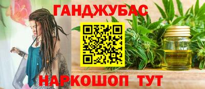 гашик Боровичи