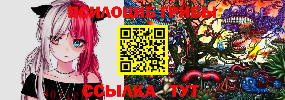 Томск  Псилоцибиновые грибы Cubensis  купить закладку  Вход с VPN 